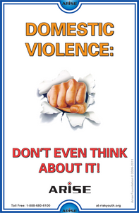 #381 Domestic Violence