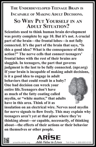 #422 Underdeveloped Brain